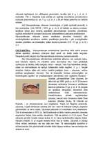 Referāts 'Māksla Mezopotāmijā', 3.