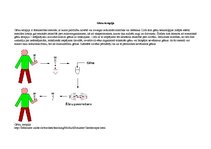 Konspekts 'Mājas darbs bioloģijā par gēnu terapiju un biodegvielu', 2.