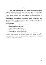 Prakses atskaite 'Prakses atskaite', 3.