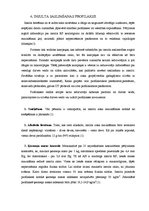 Referāts 'Insults', 13.