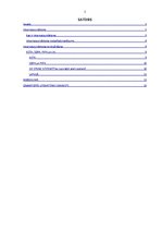 Referāts 'Autortiesību pārkāpumi - interneta pirātisms', 2.