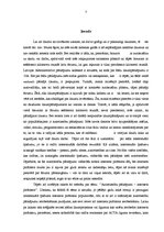 Referāts 'Autortiesību pārkāpumi - interneta pirātisms', 3.