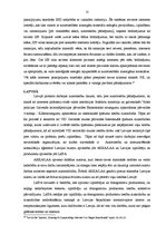 Referāts 'Autortiesību pārkāpumi - interneta pirātisms', 11.