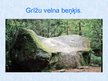 Prezentācija 'Lielākie dižakmeņi Latvijā', 9.