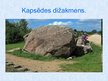 Prezentācija 'Lielākie dižakmeņi Latvijā', 13.