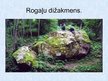 Prezentācija 'Lielākie dižakmeņi Latvijā', 31.