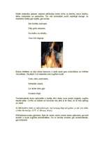 Referāts 'Mārtiņi (Mārtiņdiena)', 3.