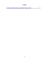 Diplomdarbs 'Publisko bibliotēku akreditācija', 4.