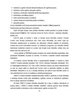 Diplomdarbs 'Publisko bibliotēku akreditācija', 28.