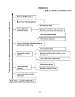 Diplomdarbs 'Publisko bibliotēku akreditācija', 126.
