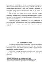 Biznesa plāns 'Biznesa plāna teorētiskā daļa', 8.