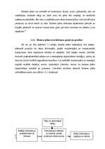 Biznesa plāns 'Biznesa plāna teorētiskā daļa', 10.