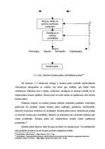 Biznesa plāns 'Biznesa plāna teorētiskā daļa', 11.