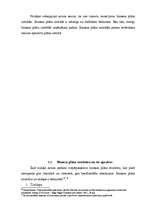 Biznesa plāns 'Biznesa plāna teorētiskā daļa', 13.