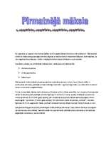 Referāts 'Pirmatnējā māksla', 1.