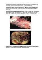 Referāts 'Pirmatnējā māksla', 3.