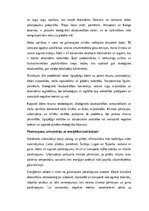 Eseja 'Mūsdienu klimata un vides problēmas: izaicinājumi un risinājumi', 2.