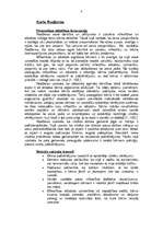 Konspekts 'Personības attīstības koncepcijas un neirožu rašanās iespējas bērniem', 3.