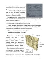 Referāts 'Monolīta pamati', 6.