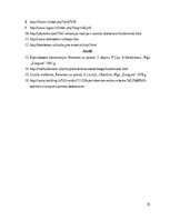 Referāts 'Monolīta pamati', 19.