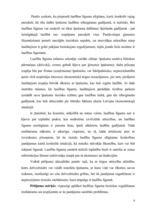 Referāts 'Laulības līgums', 2.