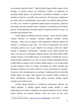 Referāts 'Laulības līgums', 11.