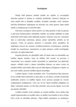 Referāts 'Laulības līgums', 25.