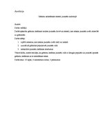 Referāts 'Grāmatu nelasīšanas iemesli jauniešu auditorijā', 22.