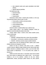 Referāts 'Reklāma', 2.
