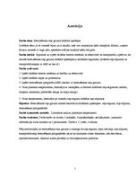 Referāts 'Bremzēšanas ceļa garums dažādos apstākļos', 2.