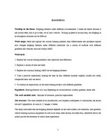 Referāts 'Bremzēšanas ceļa garums dažādos apstākļos', 3.