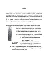 Referāts 'Bremzēšanas ceļa garums dažādos apstākļos', 8.