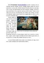 Referāts 'Renesanse', 11.