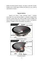 Referāts 'Skaļruņi', 6.