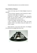 Referāts 'Skaļruņi', 7.