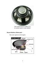 Referāts 'Skaļruņi', 8.