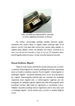 Referāts 'Skaļruņi', 10.