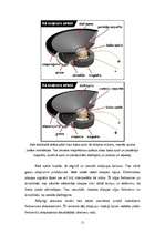 Referāts 'Skaļruņi', 11.
