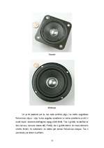 Referāts 'Skaļruņi', 13.