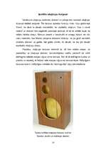 Referāts 'Skaļruņi', 16.