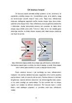 Referāts 'Skaļruņi', 18.