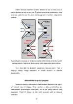 Referāts 'Skaļruņi', 19.