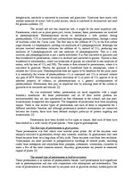 Eseja 'The Multiple Role of Peroxisomes in Plant Life', 4.