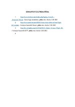 Eseja 'Novecojušu gaisa kuģu problēmas', 8.