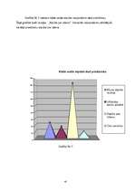 Biznesa plāns 'Biznesa plāns un mārketinga pētījums atpūtas kompleksam', 43.