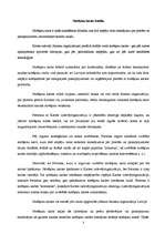 Referāts 'Debetkartes', 3.