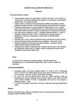 Referāts 'Debetkartes', 8.