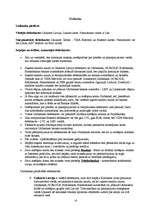 Referāts 'Debetkartes', 10.