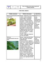 Konspekts 'Galda bietes', 6.