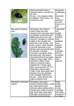 Konspekts 'Galda bietes', 9.